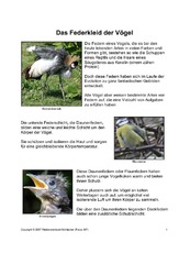 Das-Federkleid-der-Vögel-1.pdf